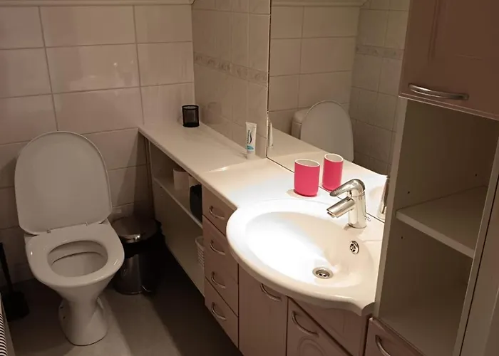 别墅 Arctic Lakeside *